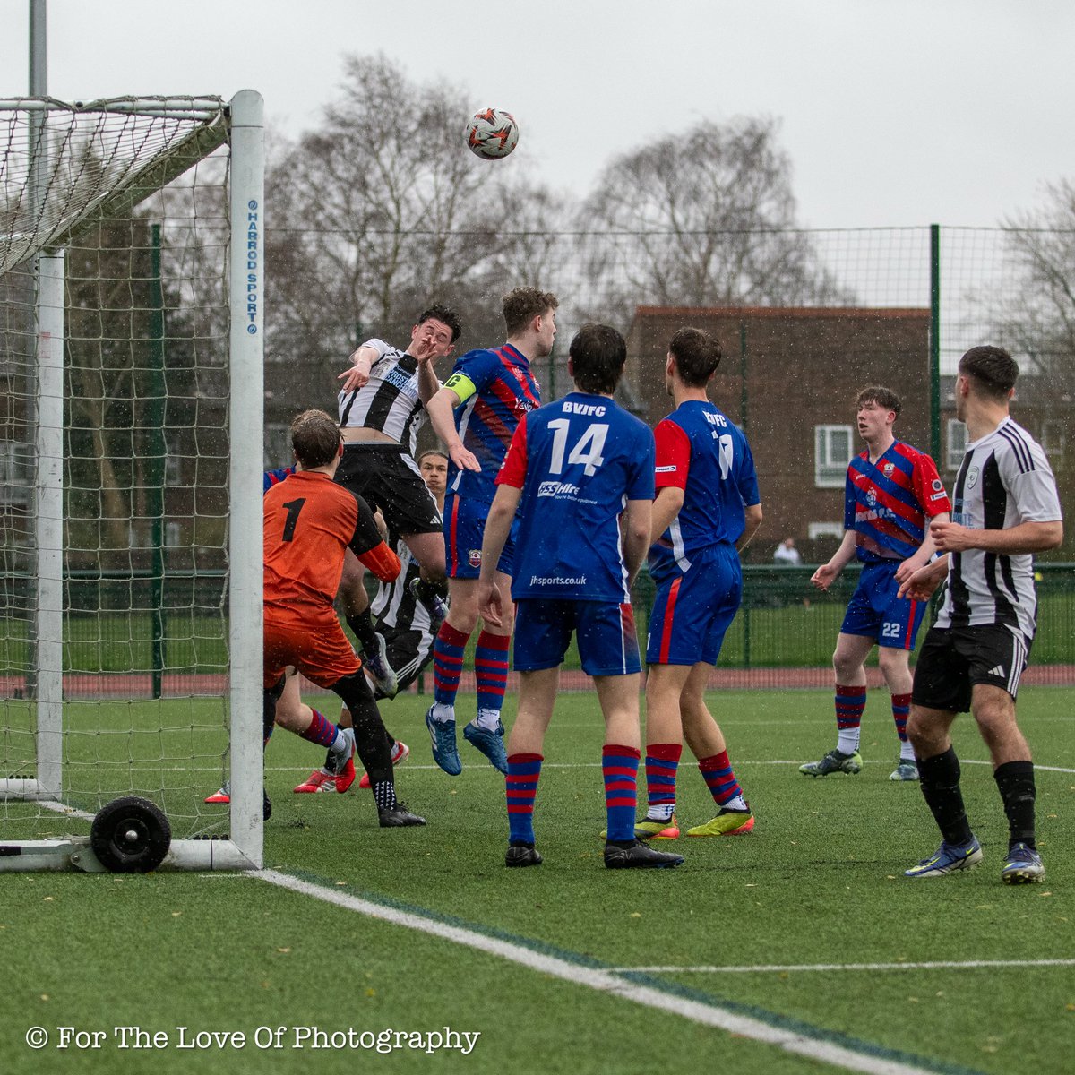 For The Love Of Photography tweet media