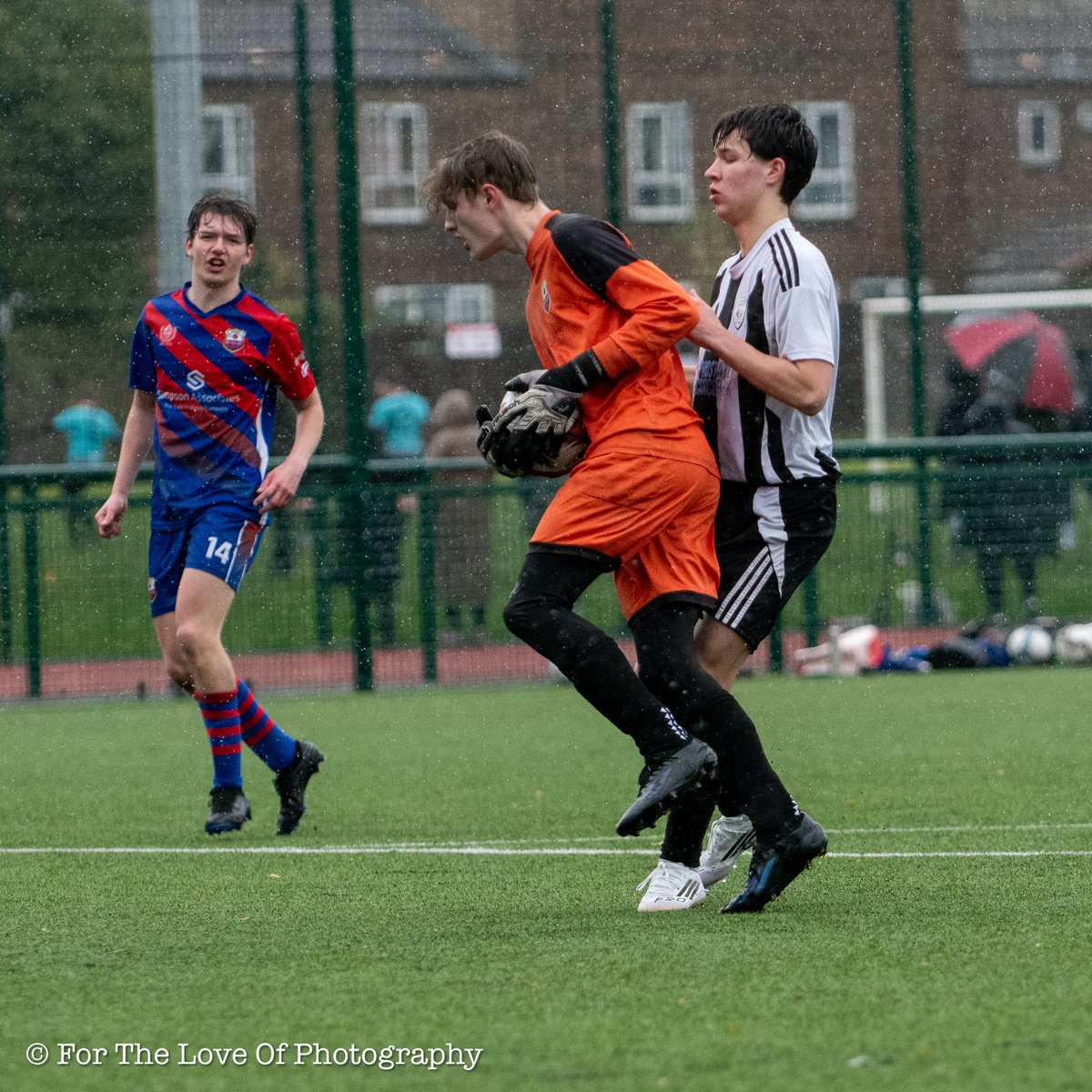 For The Love Of Photography tweet media