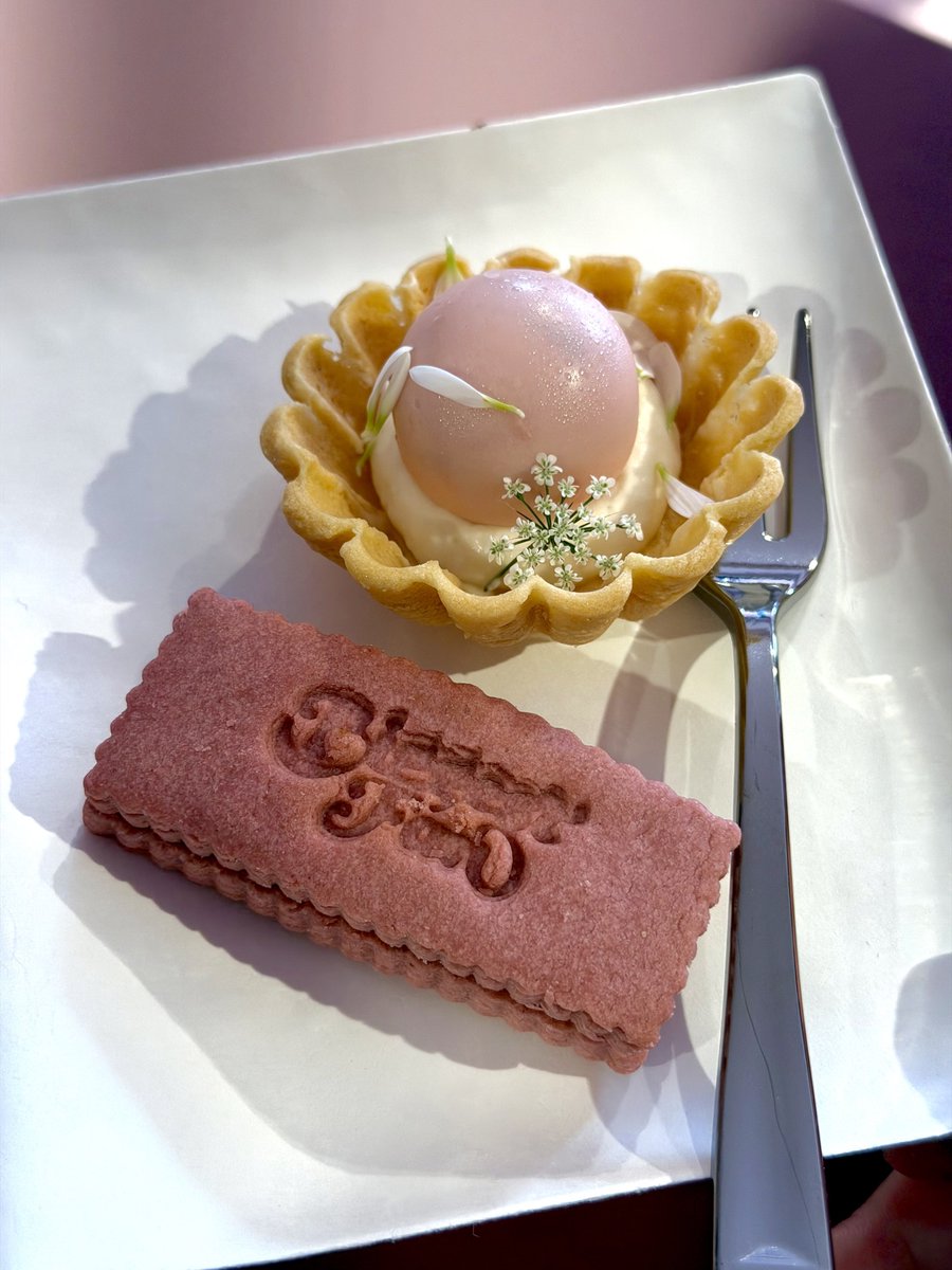 โ ๐๐๐๐๐ tweet media