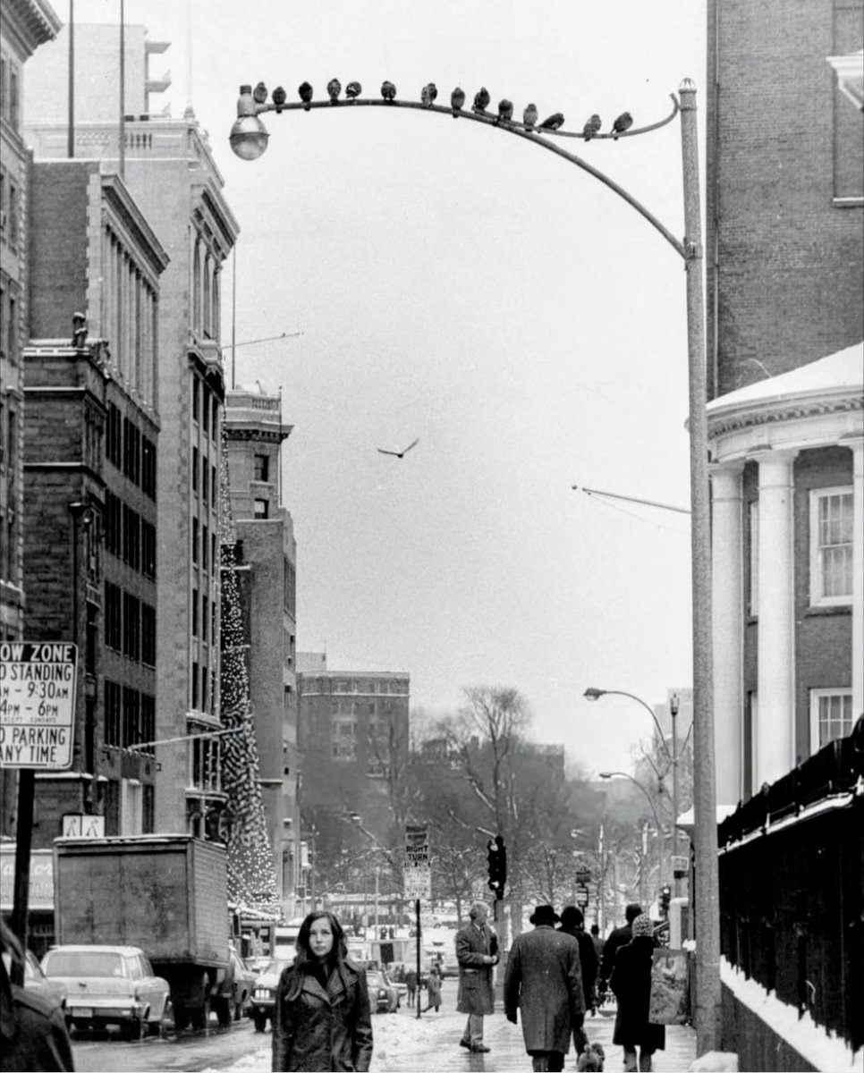 Old School Boston tweet media