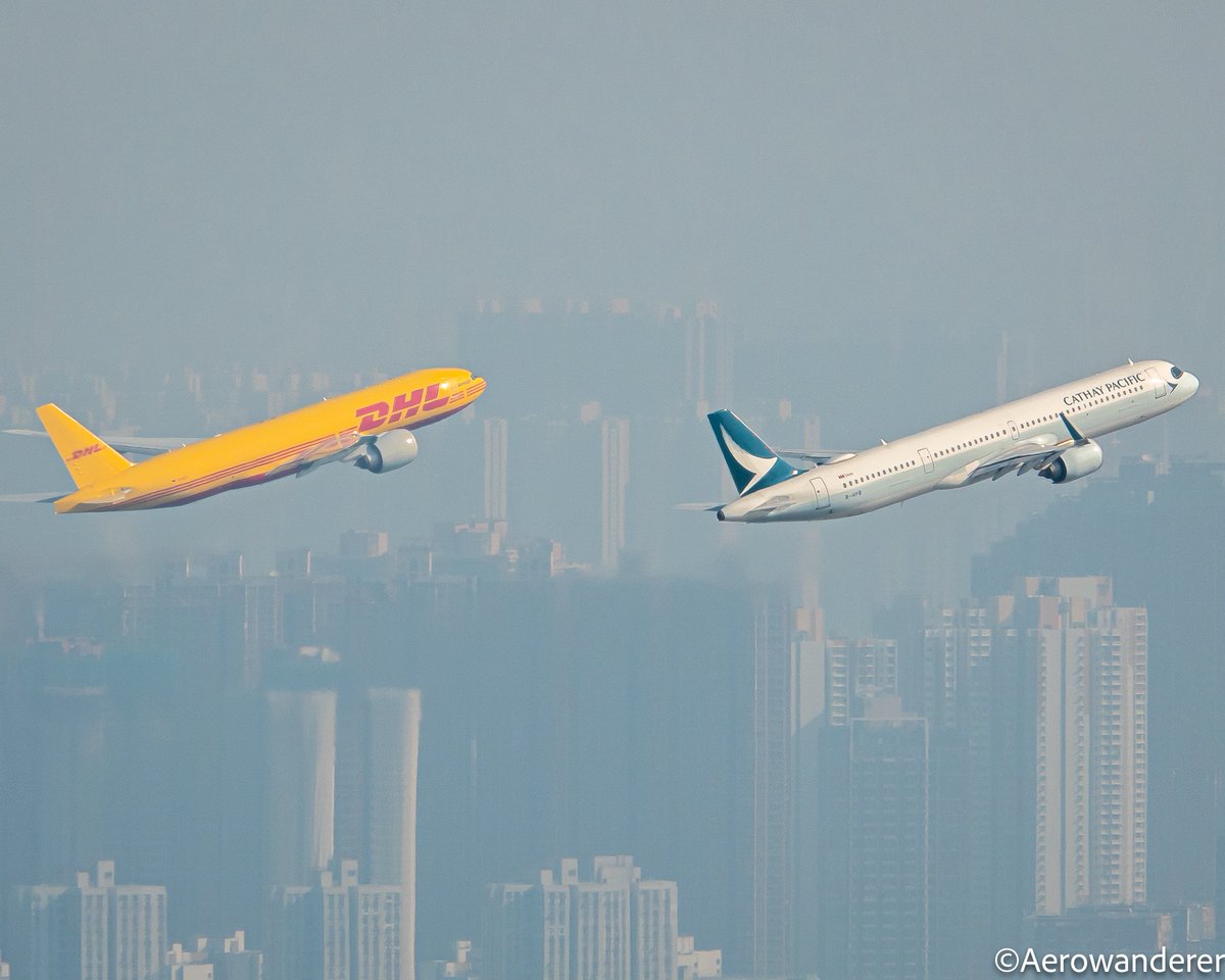 Aerowanderer tweet media