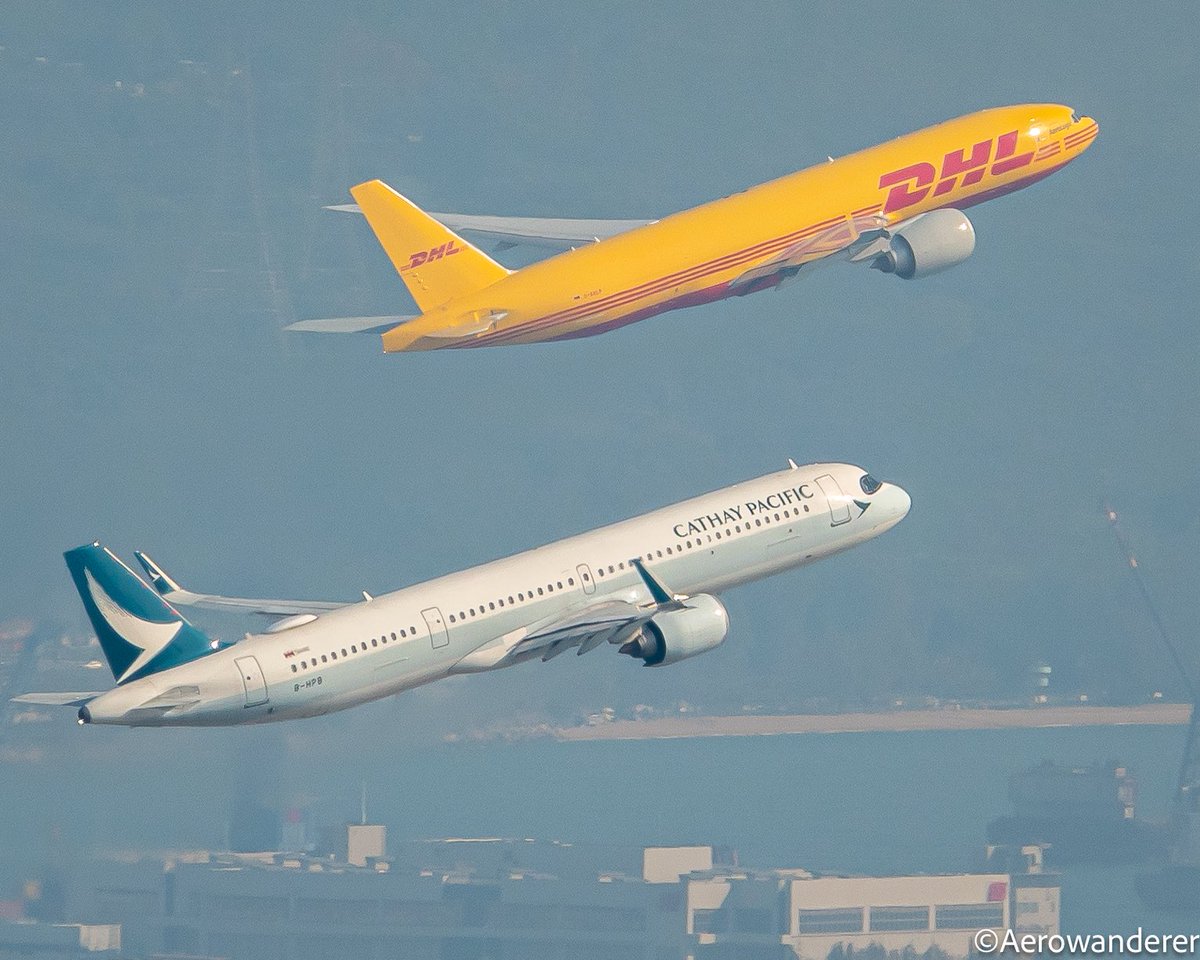 Aerowanderer tweet media