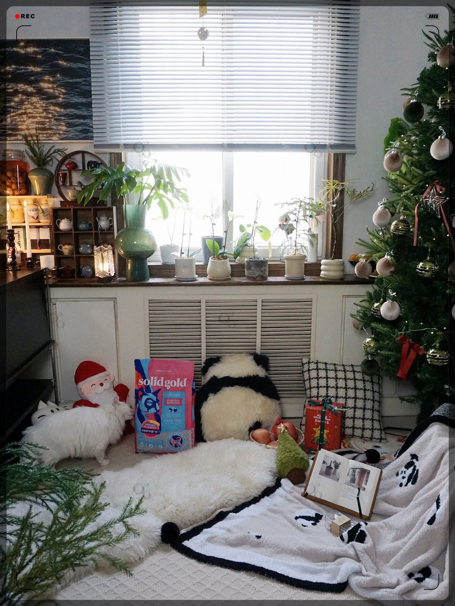 Edder Alexander tweet media