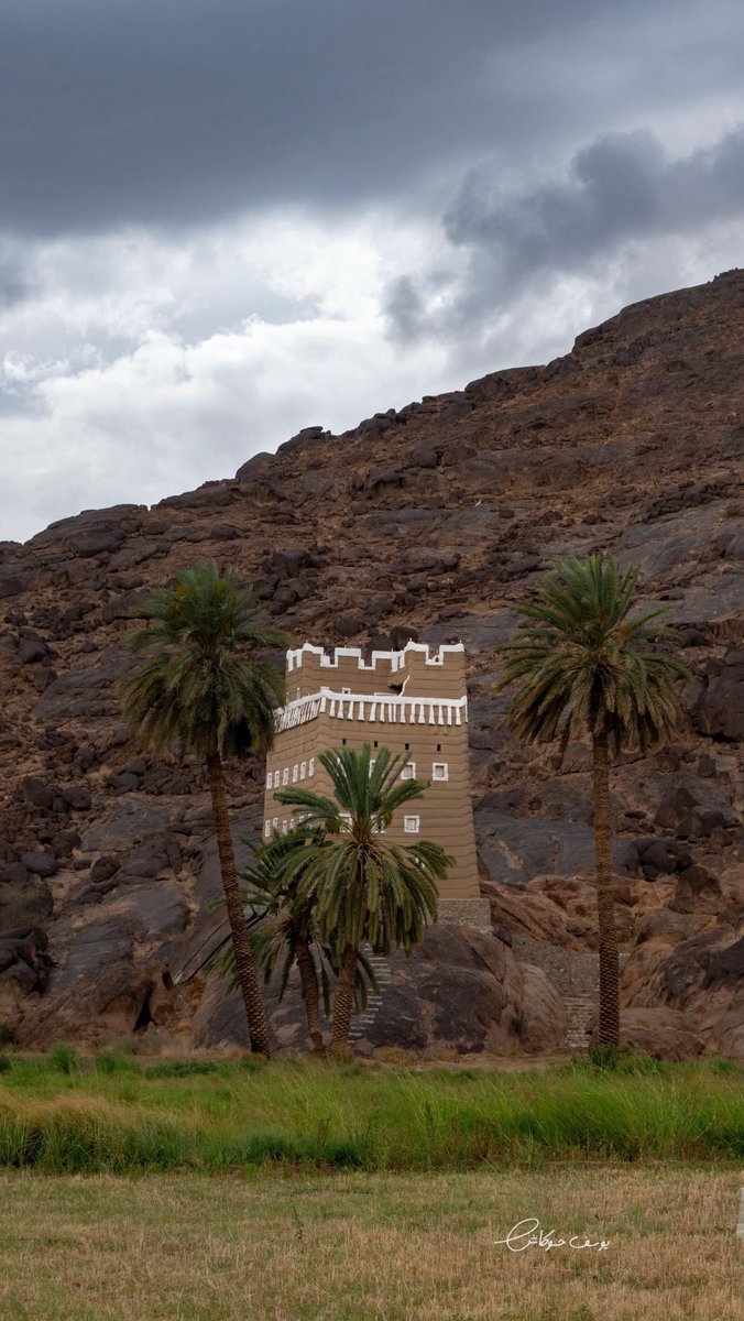 المملكة tweet media