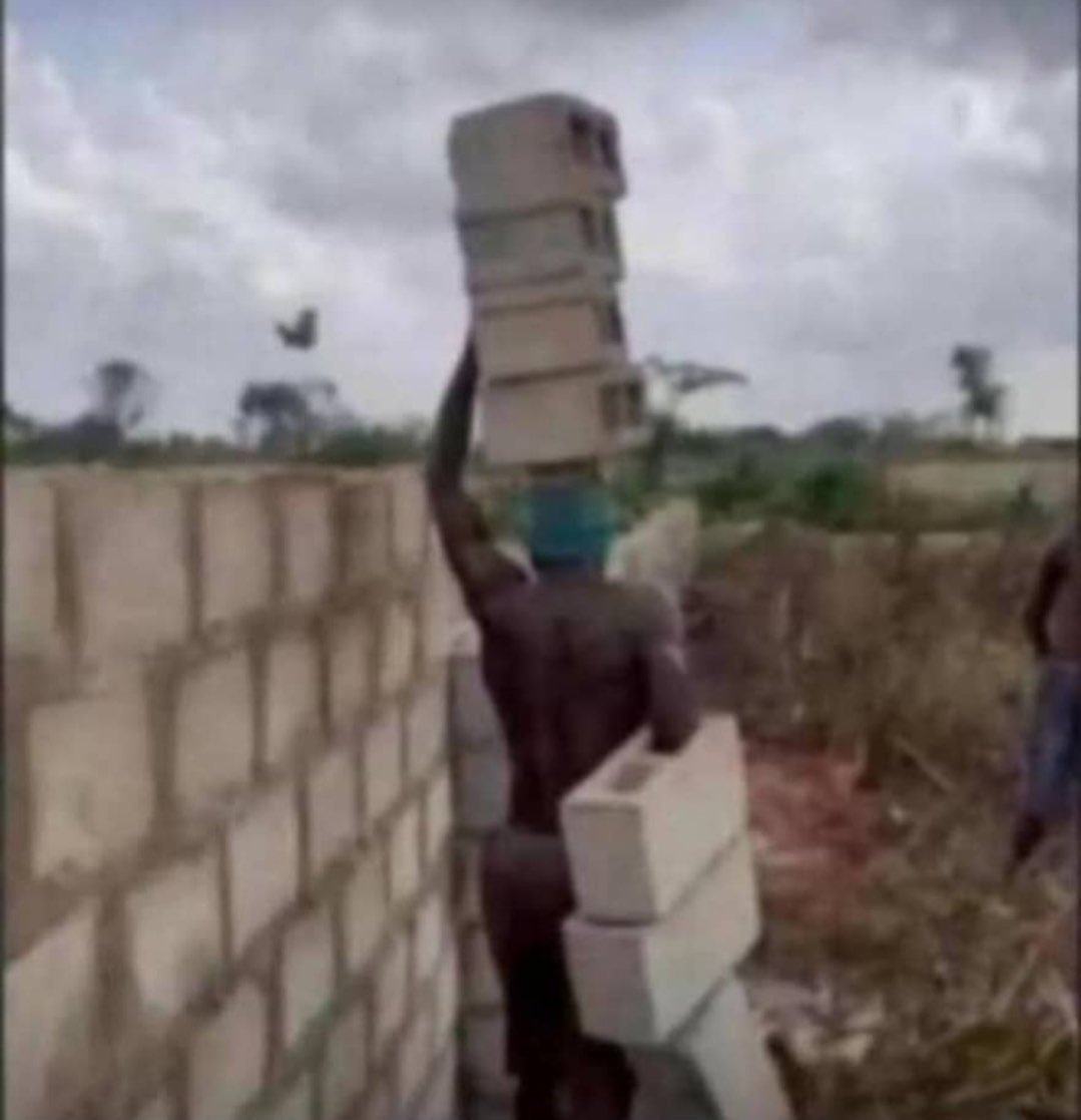 Sophia🦋👑 tweet media