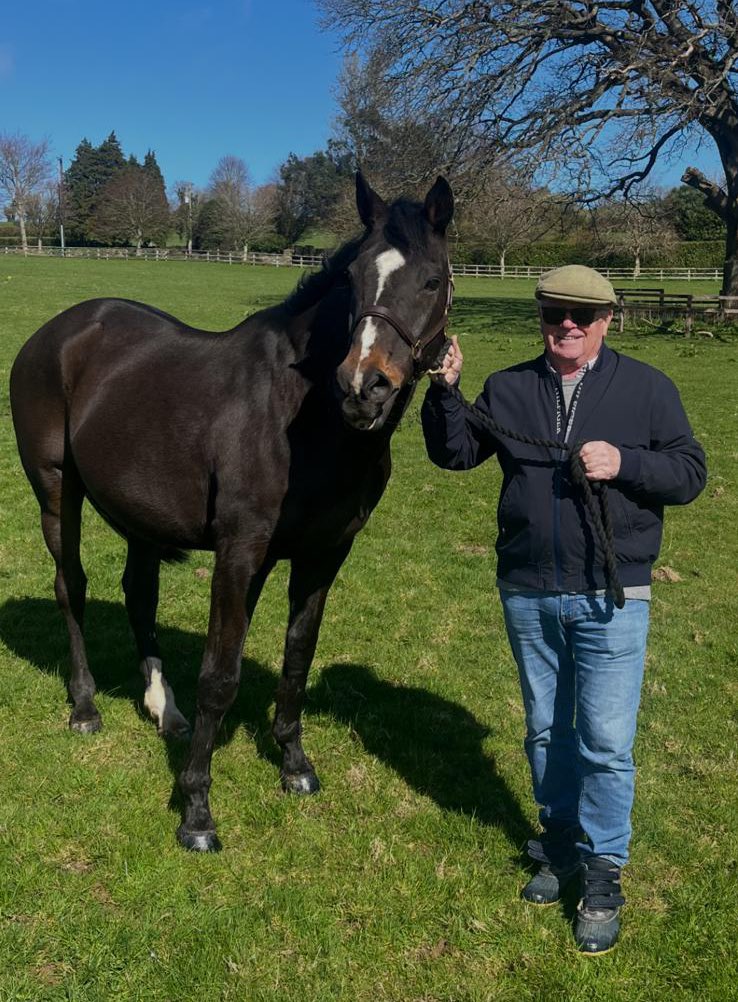 Tom Savill tweet media