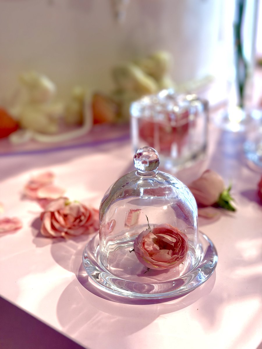 โ ๐๐๐๐๐ tweet media