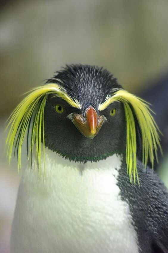 chu is dangerous^-^🎀👼 tweet media