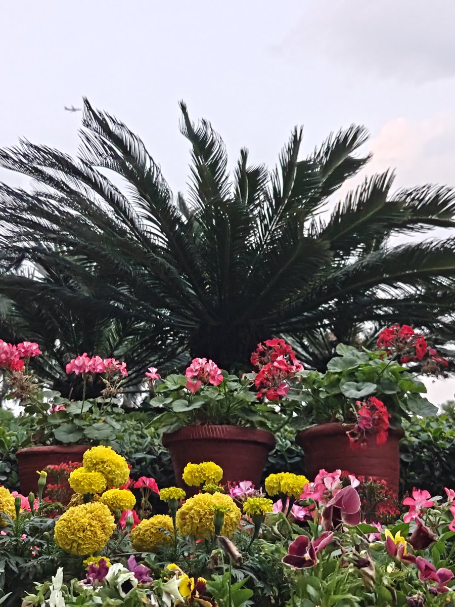 Manish Johari tweet media