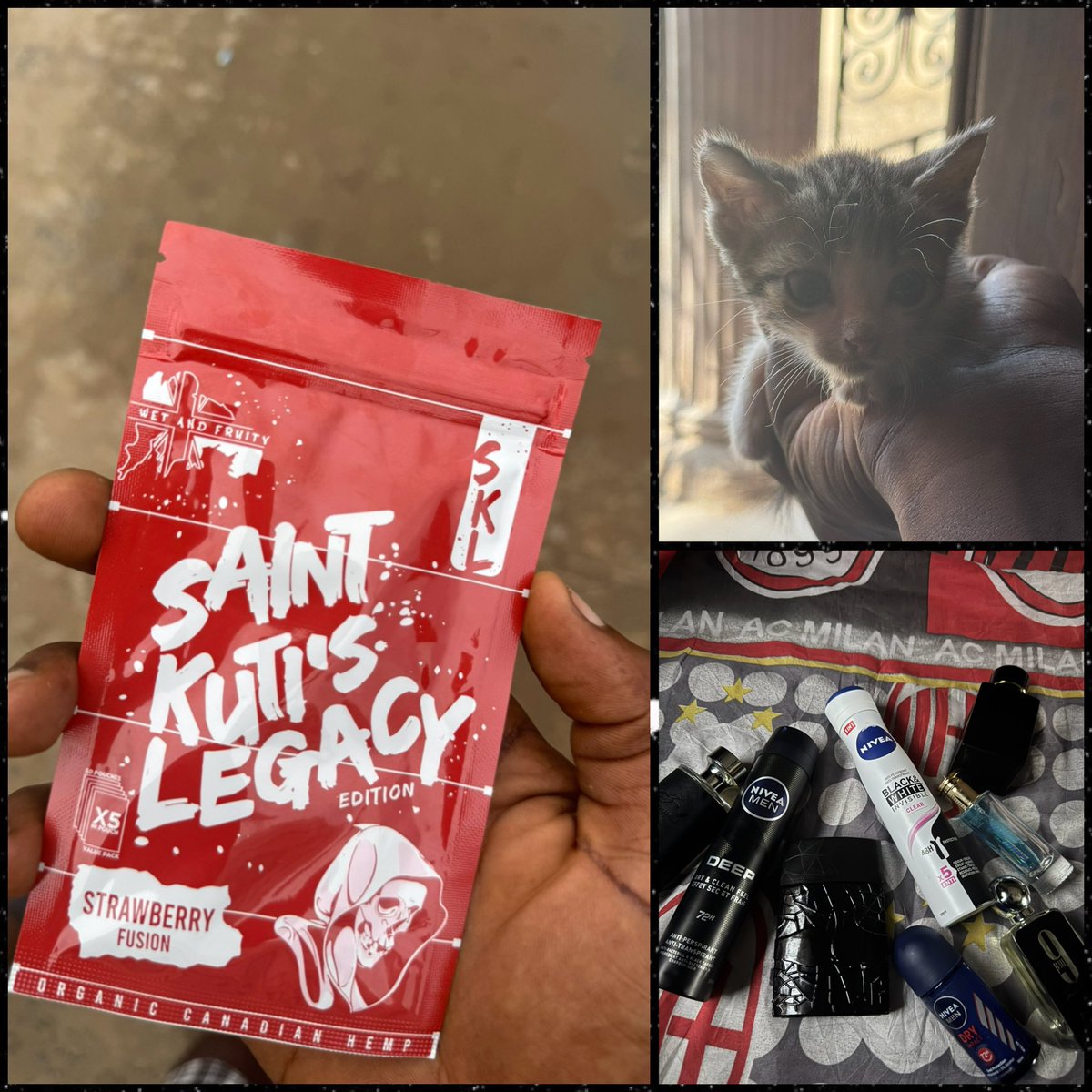 Raymond.Sol tweet media