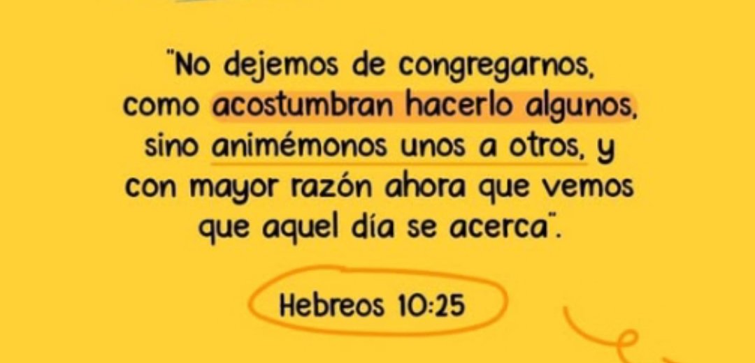 #MiDisposicionero tweet media