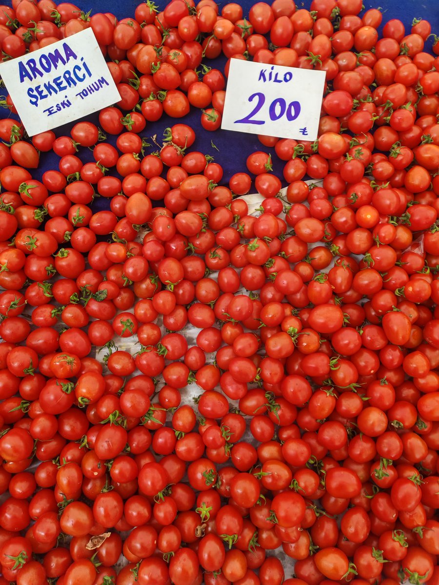 Yavuz DEĞİRMENCİ tweet media