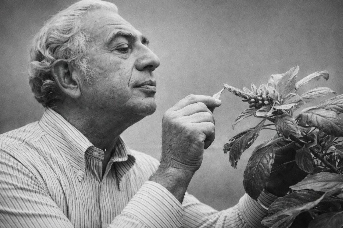 Iván Fernández Amil tweet media