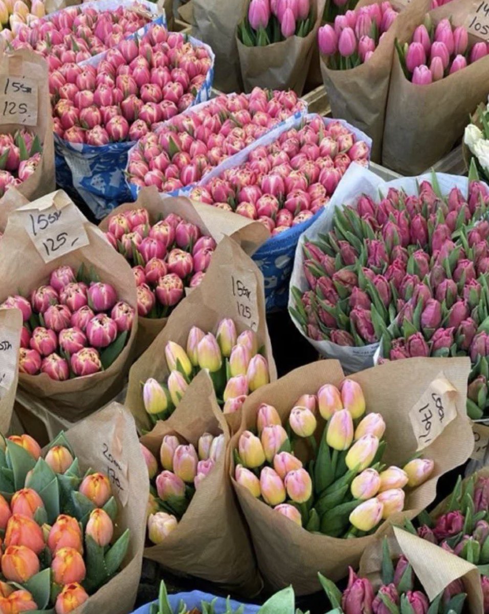 ₊˚꩜ peaches🐰 tweet media