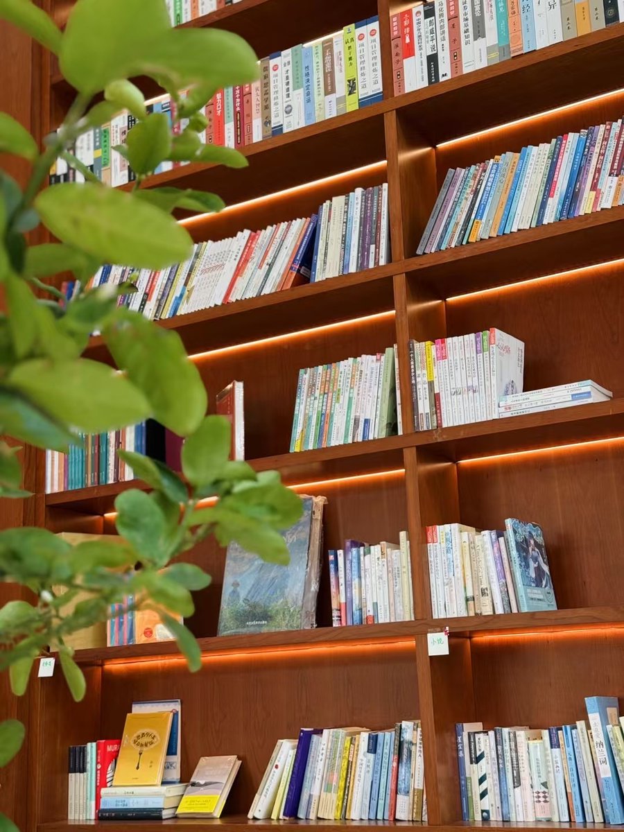 Johann Viljoen tweet media