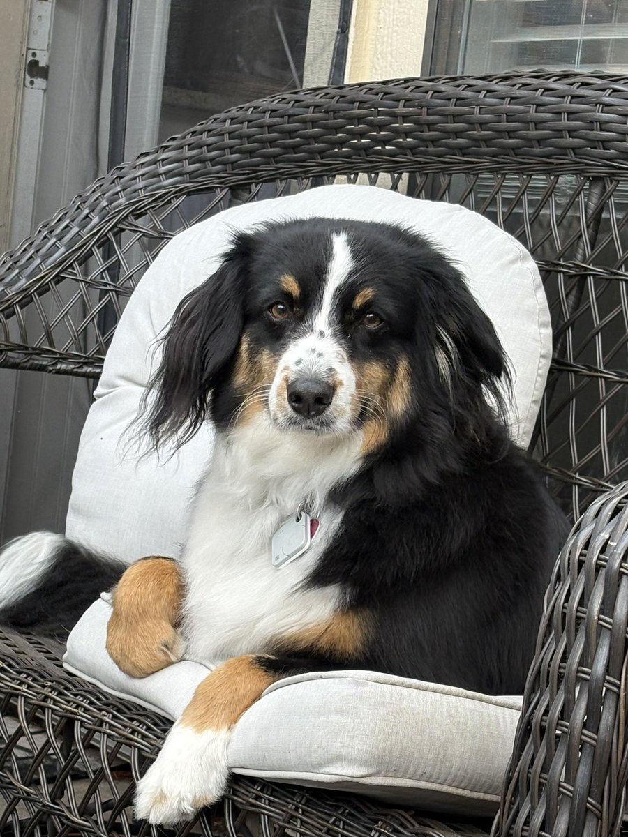 Michelle 🇺🇸 tweet media