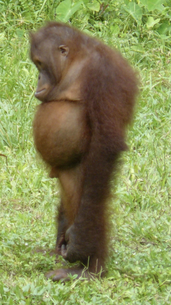 Claire B tweet media