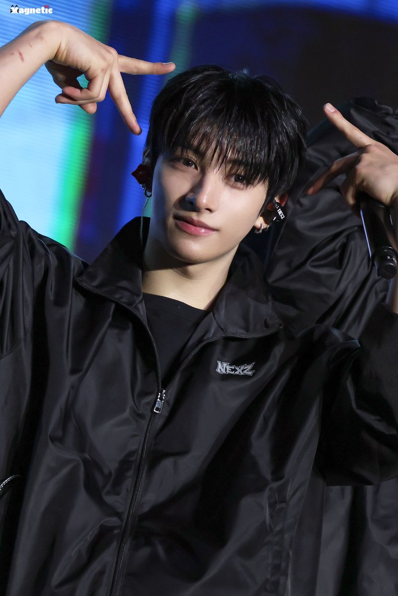 Magnetic tweet media