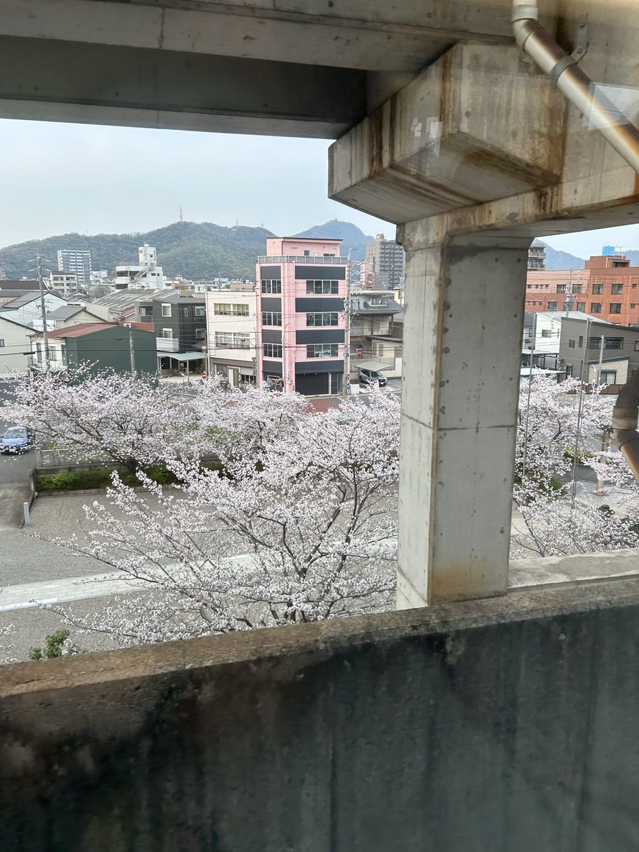 アカネ tweet media