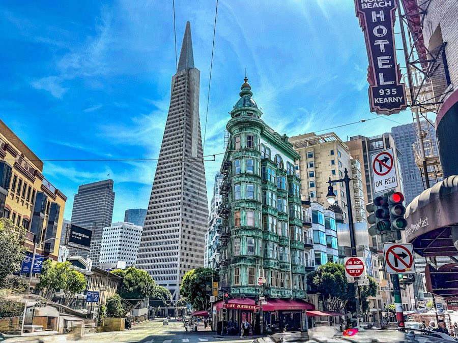 Gastroplanet tweet media