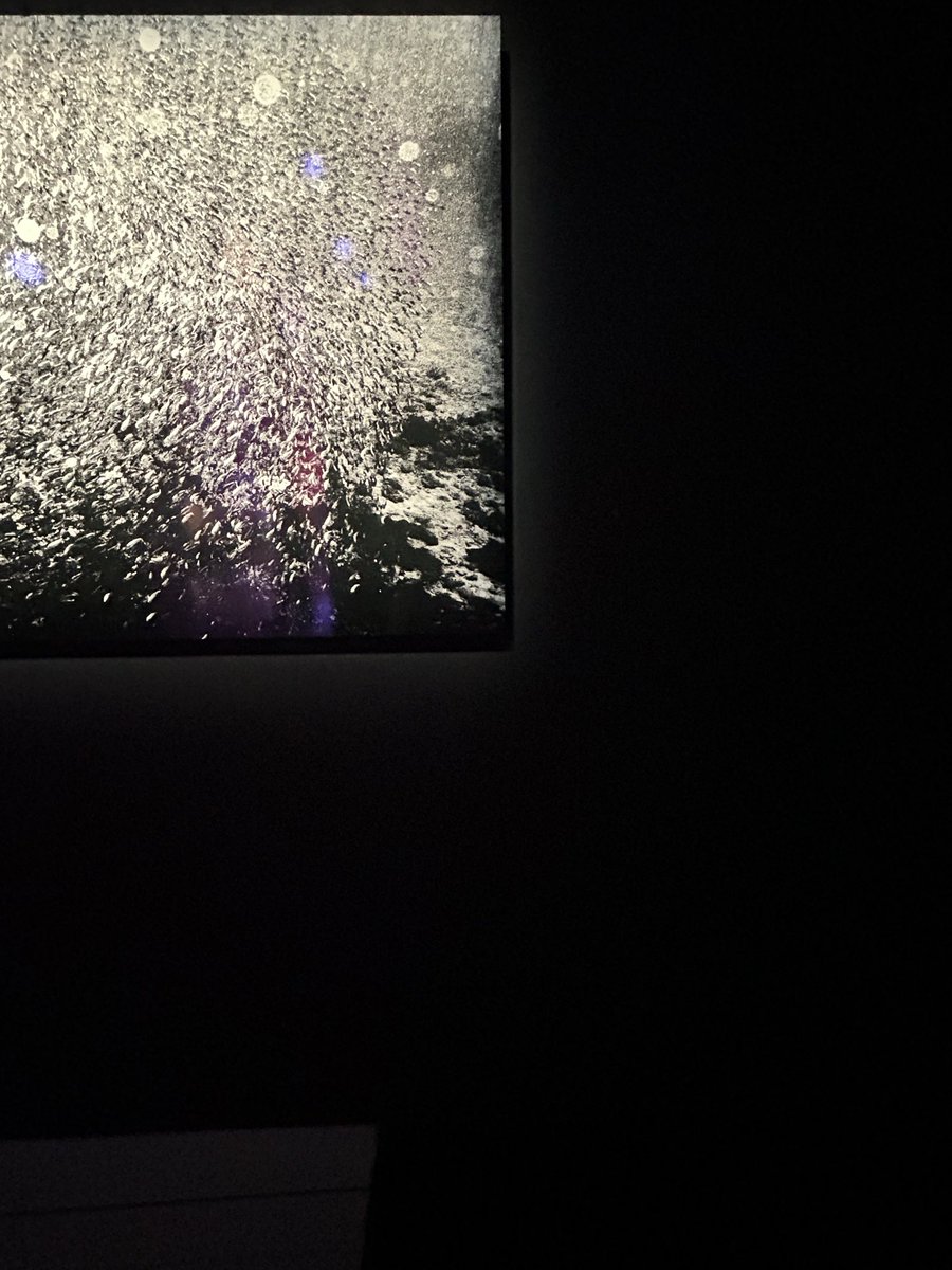 一口酥酥 2.0 tweet media