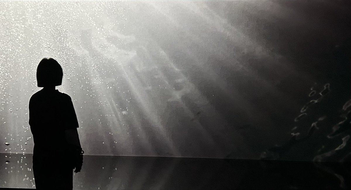 一口酥酥 2.0 tweet media