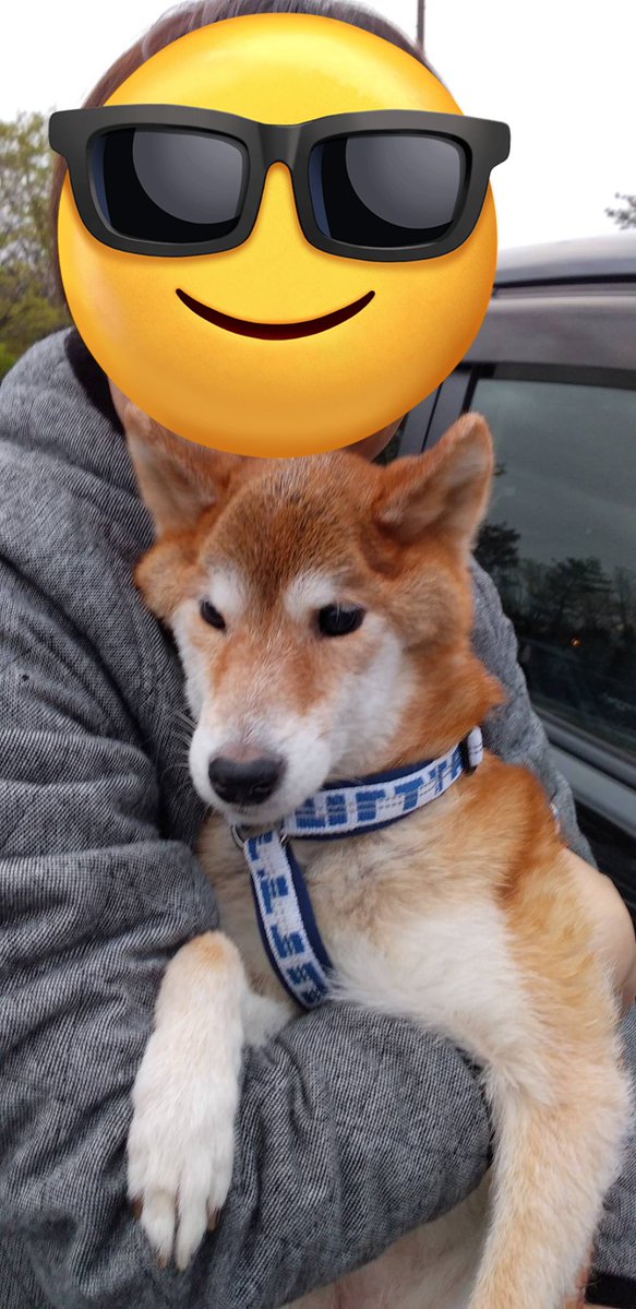 ai🐿💖🧸 tweet media