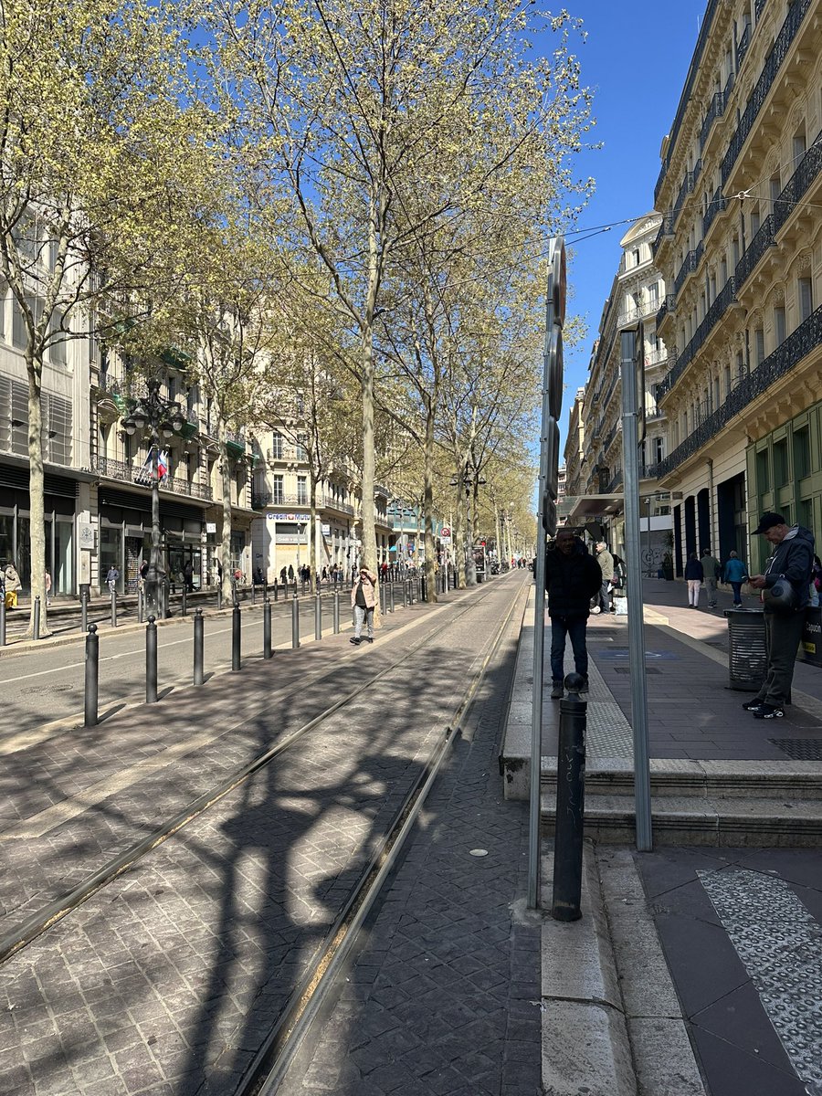 unidos contra o app talking angela tweet media