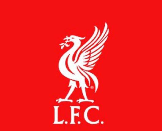 PITCH•PULSE tweet media