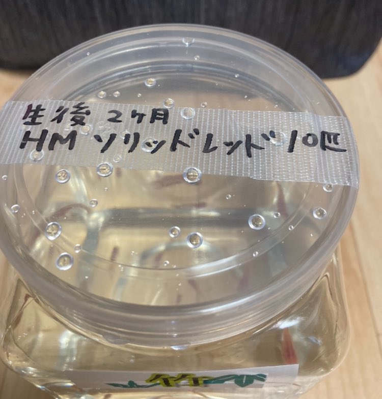 みーちゃん tweet media