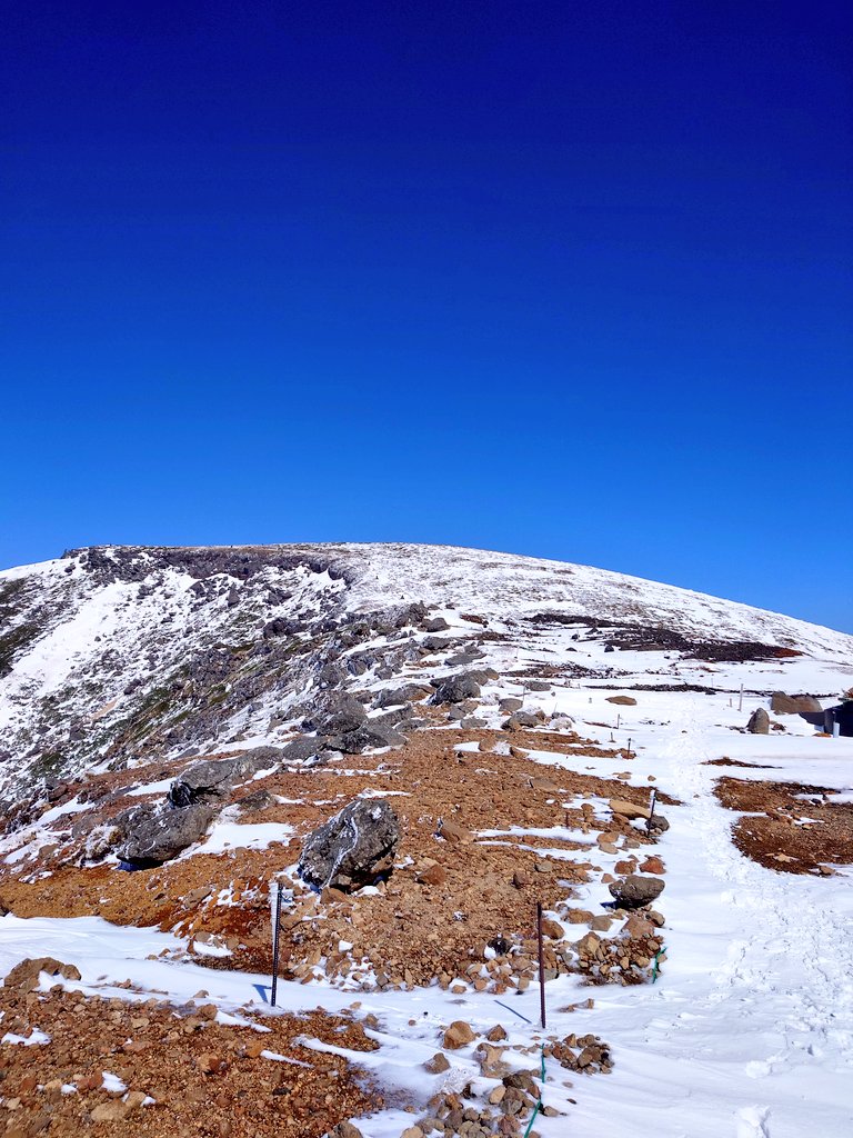 はせいさん tweet media