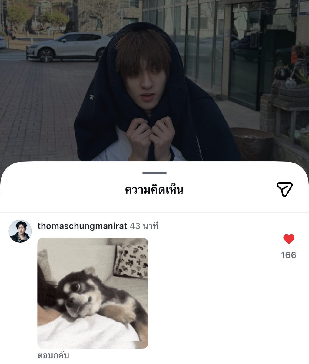 babii ; pofo ⋆ mas ꒰🐈꒱ ˚⊹ tweet media