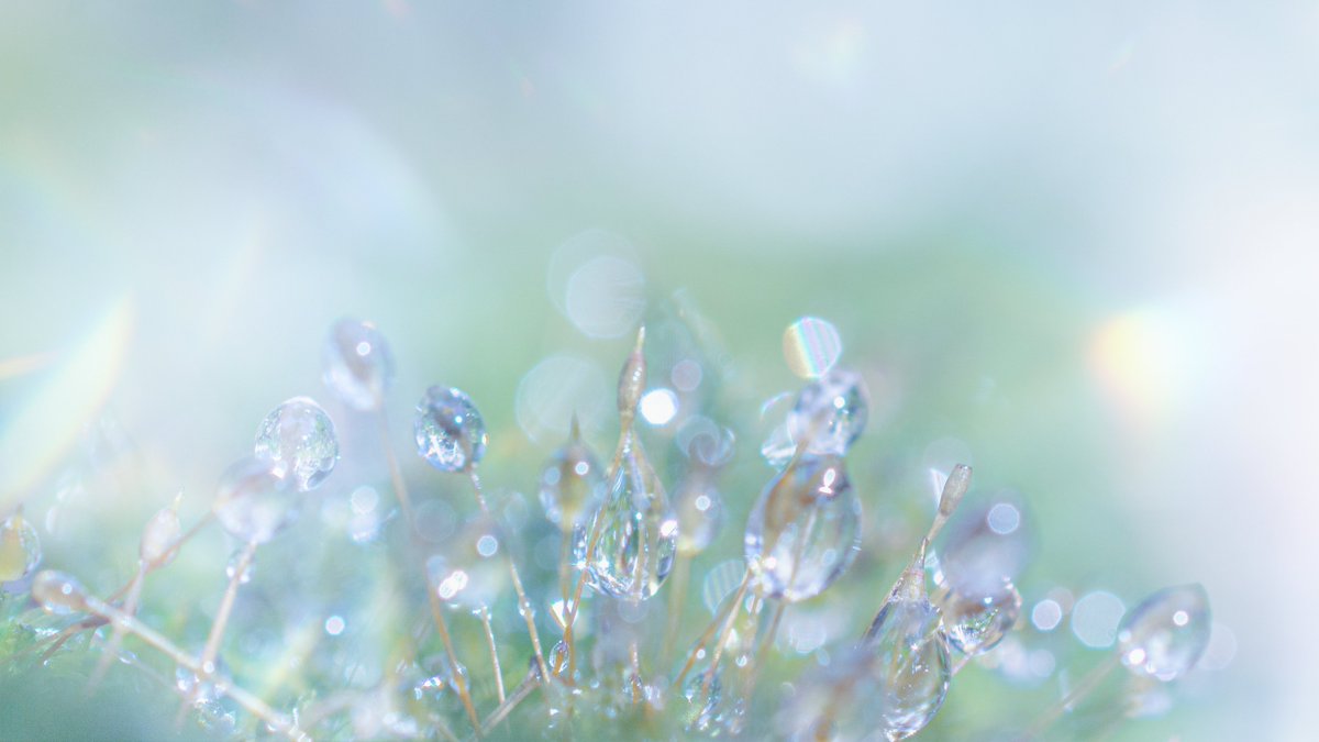 だいゆう(撮影場所・撮影日:不明) tweet media