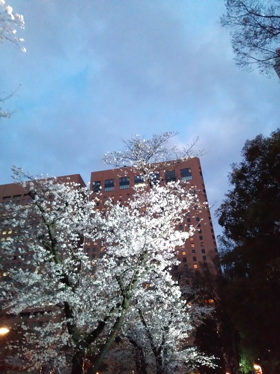 けんた tweet media