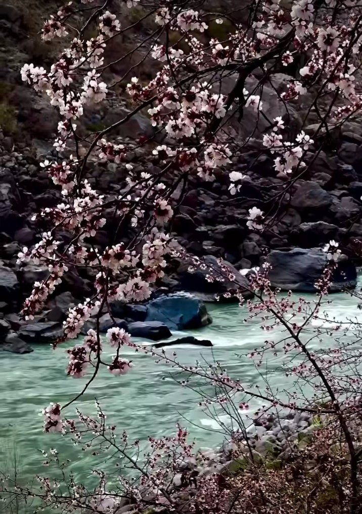 MananHnz's tweet image. #Skardu GilgitBaltistann !