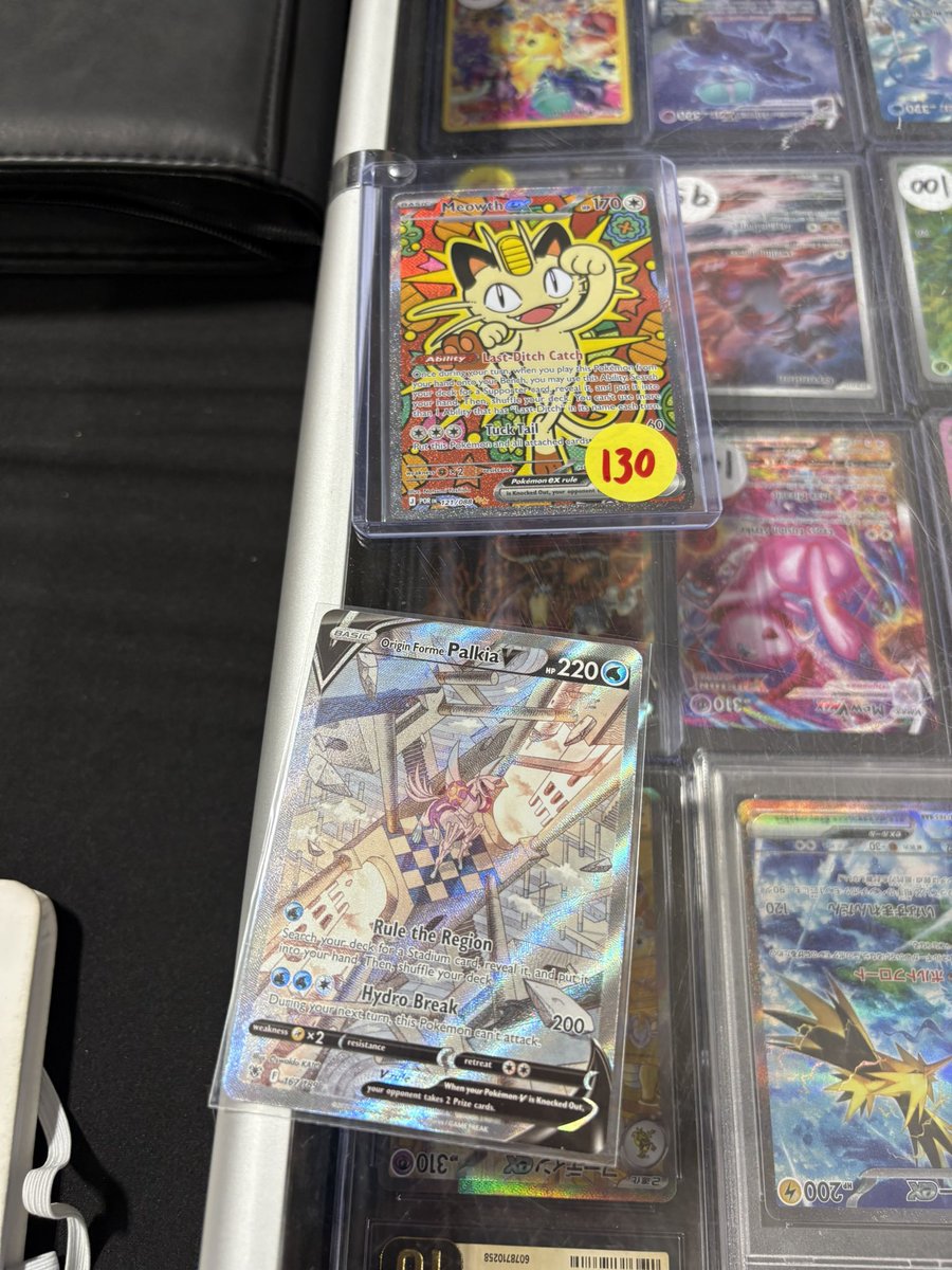 Catskill Collections TCG tweet media