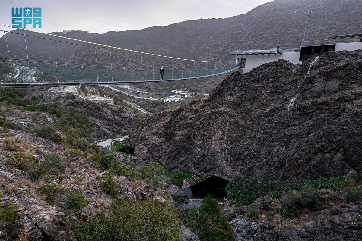 واس جودة الحياة tweet media