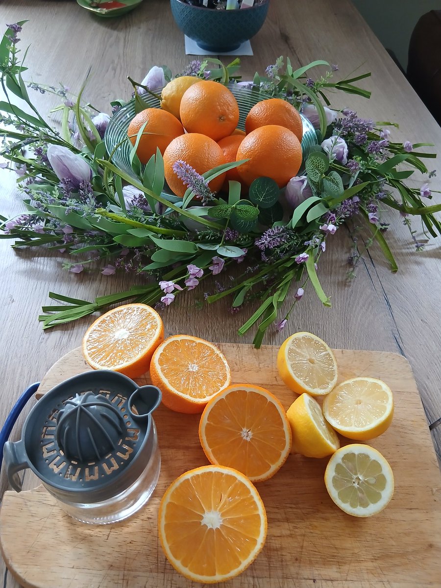 Dianne 👱‍♀️🐶🐾🍫🍷 tweet media