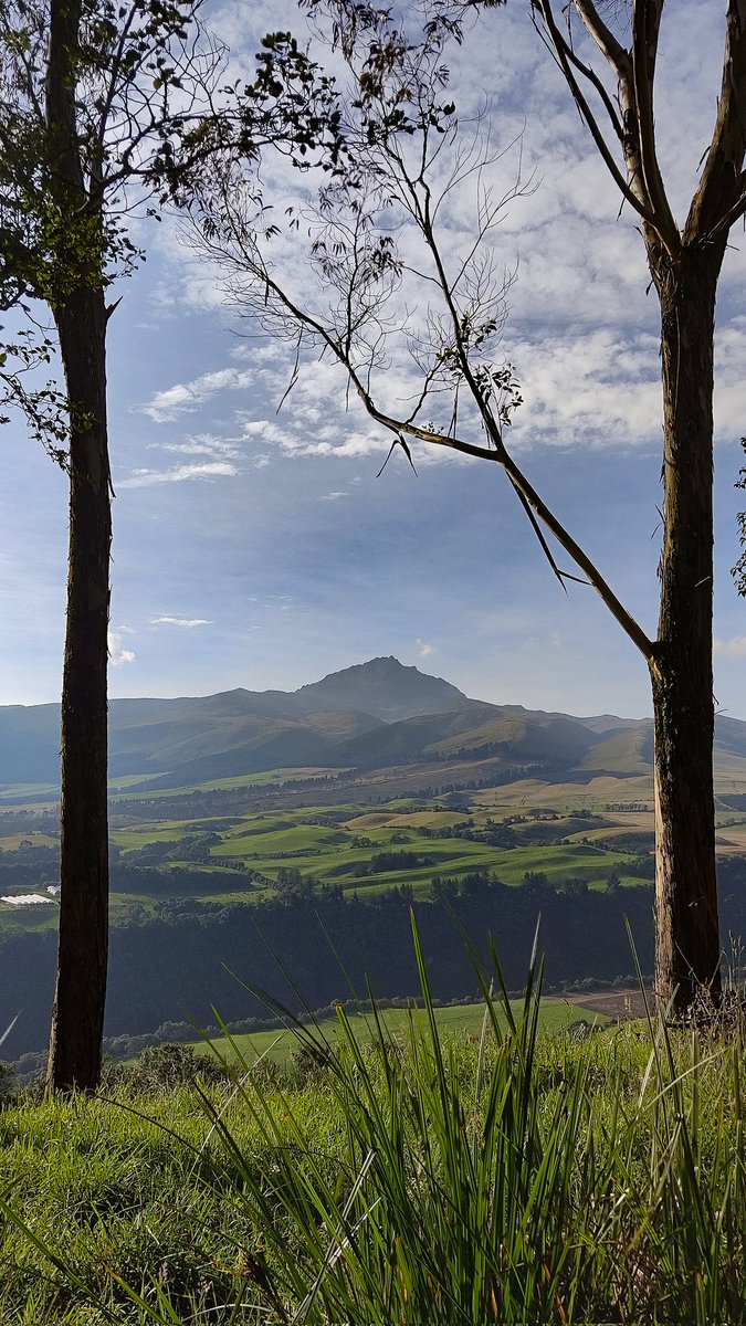 Sandy Espinoza F tweet media