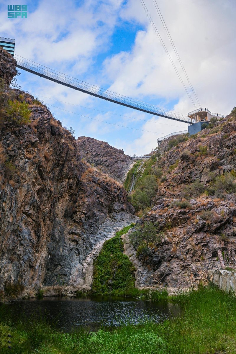 واس جودة الحياة tweet media