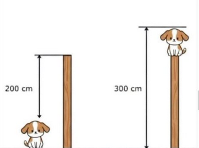 Ganesha 🇩🇪🇮🇳 tweet media