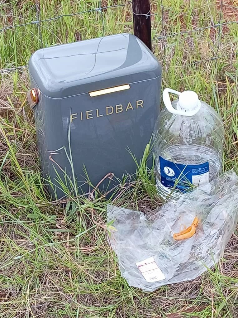 Ladybug 🐞🌼🐞 tweet media