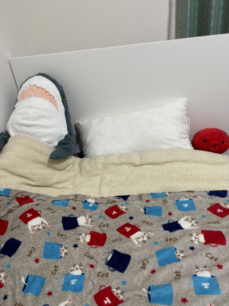 Princessな無常◜. ̫.◝꜆☔️ tweet media