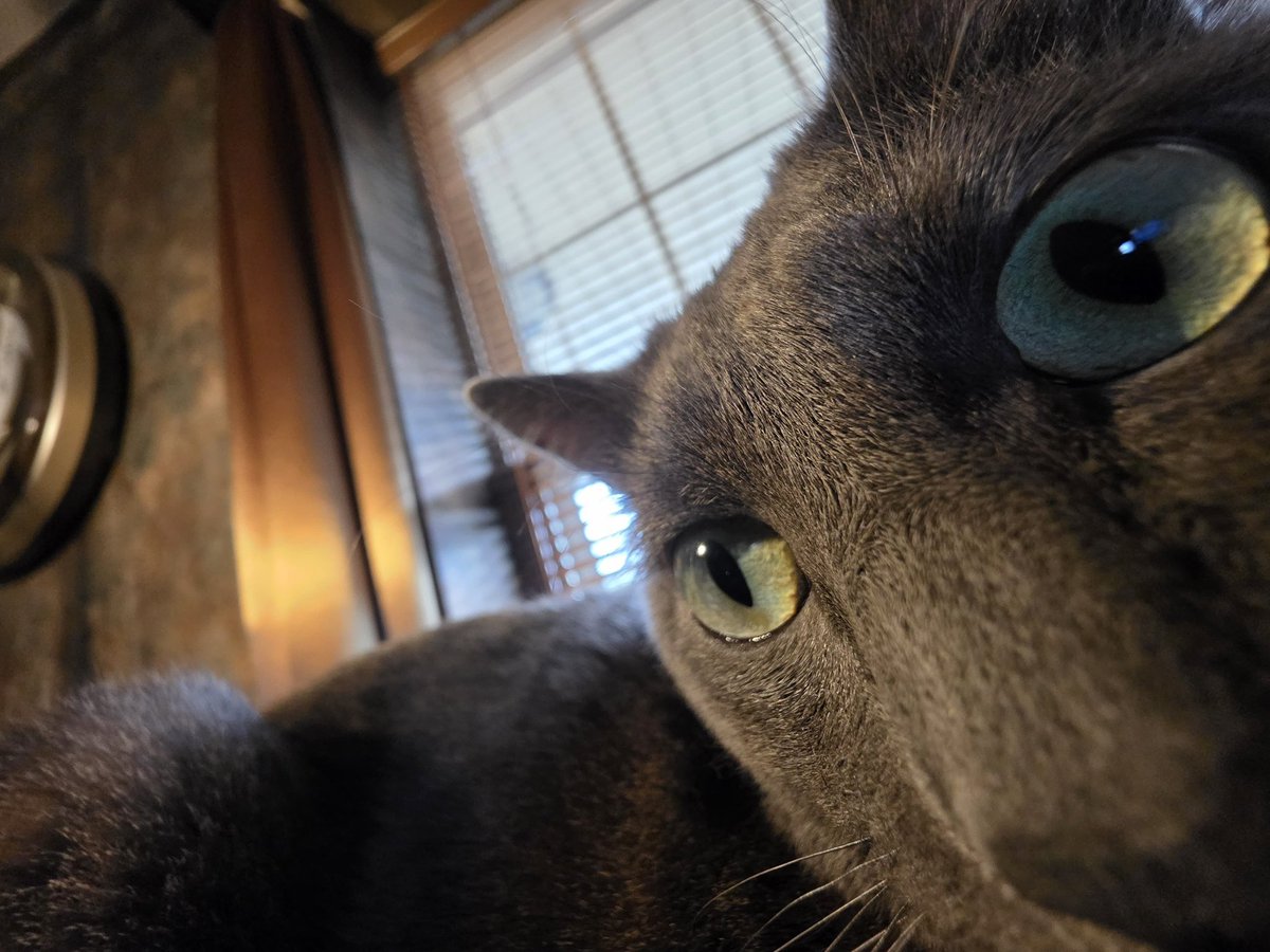 bluflwrz's tweet photo. you got games on your phone? https://t.co/z77ejwUrI4