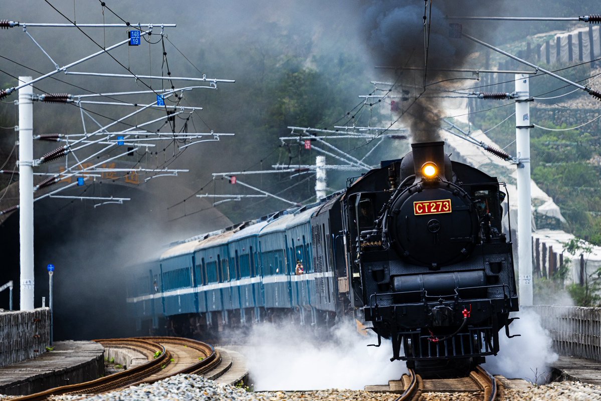 おにぎり tweet media