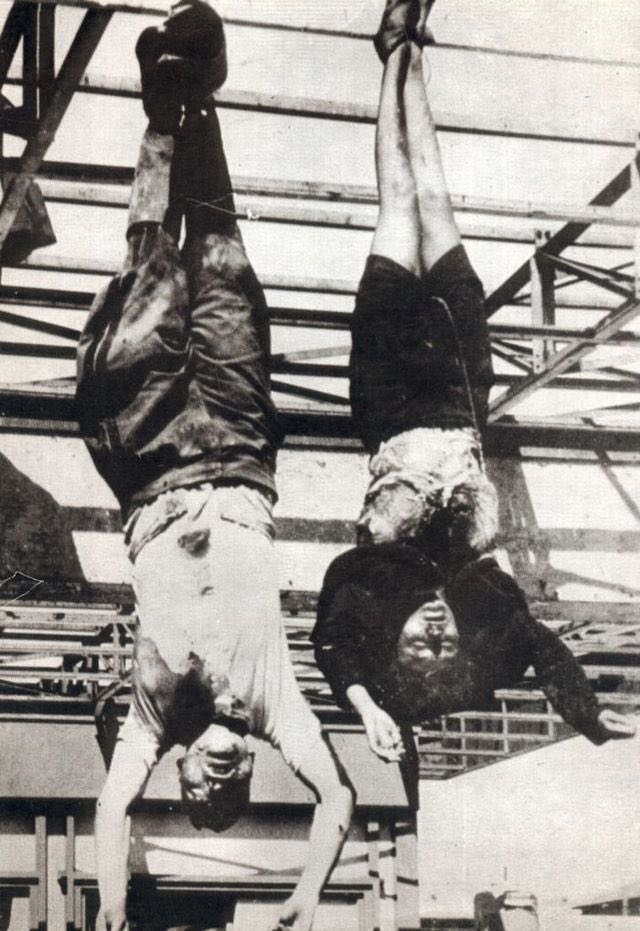 Canada Hates Trump tweet media