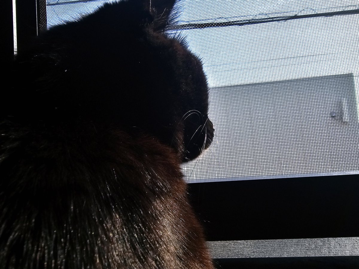 『TABIMASU BASE』の人～SlowLife in JAPAN ～ tweet media