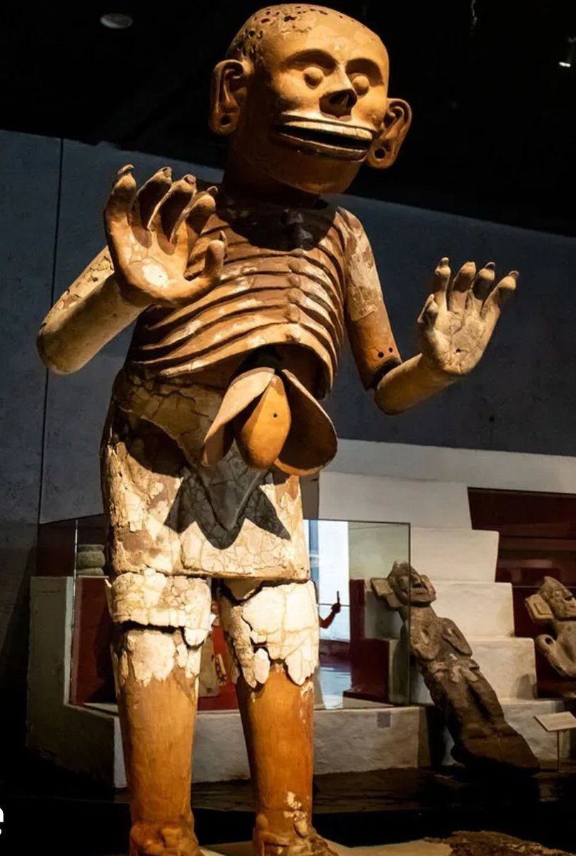 WaliaRex tweet media