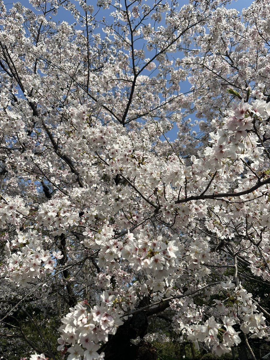 𝖧𝗈𝗉𝖾𝖽𝗈𝗆🩷𝖸𝖮𝖴𝖱,𝖬𝖸 𝖧𝖮𝖯𝖤 tweet media