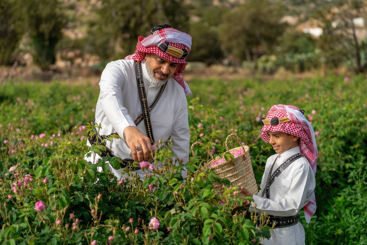 محافظة الطائف tweet media